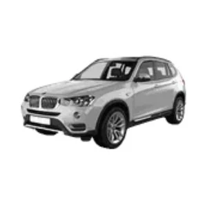 X3 Seri F25 2010