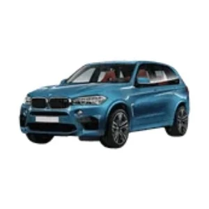 X5 M Seri F85 2020 -