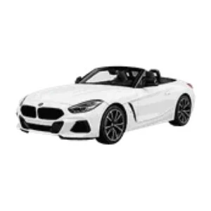 Z4 Seri G29 2018 -