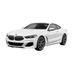 BMW 8 Seri G15 2018-