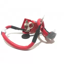 BMW F32 Artı Kutup Başı Akü Kablosu 61129259425 - 2
