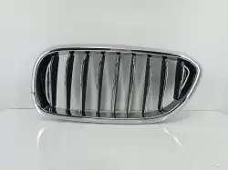 BMW G30 Luxury Sol Panjur 51137390865 | G30 Luxury Sol Böbrek - Izgara (Yeni Orijinal)